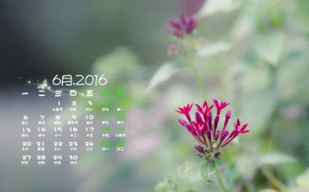 2016年6月日历自然唯美花卉图片宽屏壁纸