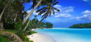 夏天，沙滩，海岸，天堂，热带，棕榈树，自然大海风景桌面壁纸