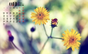 2015年8月日历精选小雏菊护眼电脑桌面壁纸下载