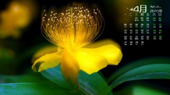 2015年4月日历唯美花朵怡人风光高清图片电脑壁纸桌面