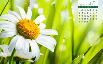 2016年8月日历感受清新自然的气息高清风景壁纸