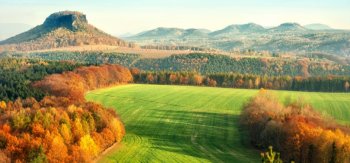 自然风景,树林,人工草坪,漂亮的风景壁纸