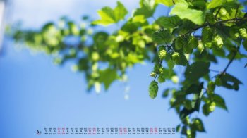 2016年6月日历唯美自然风景桌面壁纸
