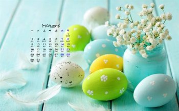2016年5月日历清新静物图片桌面壁纸下载