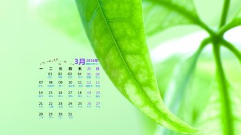 2016年3月日历壁纸绿色风景图片下载