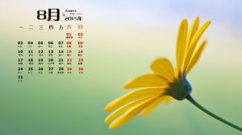 如此精美黄色日历并集黄色花朵高清植物花卉桌面壁纸收藏