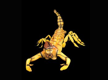 星座彩绘人体艺术桌面壁纸图片下载6