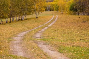 秋天的森林与草原