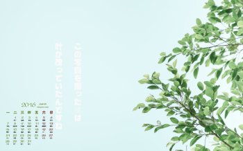 2016年3月日历绿叶小清新格调摄影美图电脑壁纸下载