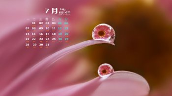 2014年7月日历壁纸简约风格清新大自然唯美花草植物图片