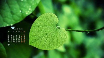 2015年11月日历清新护眼壁纸1下载