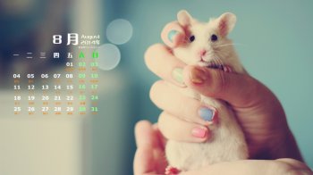 2014年8月日历可爱动物小白鼠高清电脑桌面壁纸