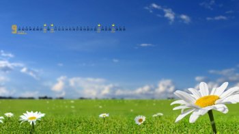 2015年9月日历唯美蓝天花朵电脑桌面壁纸下载