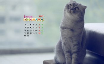 2017年动物日历桌面图片