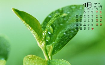 2015年4月日历绿色生机的春季美景自然高清图片电脑桌面壁纸
