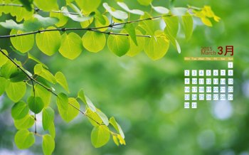 2015年春的到来3月日历