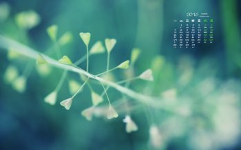 2016年3月日历清新绿色护眼桌面壁纸图片下载