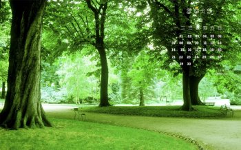 2015年9月日历绿色公园树林桌面壁纸下载7