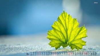 2016年6月日历绿色叶子桌面壁纸
