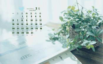 2015年7月日历精选浅末微凉之绿色清新盆栽桌面壁纸下载