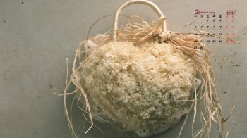 2017年2月唯美室内花卉日历壁纸  第四辑