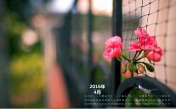 2016年4月日历简约小清新桌面壁纸下载