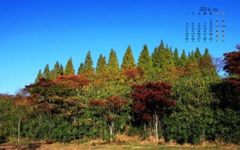 2016年1月日历清新田园风景桌面壁纸5下载