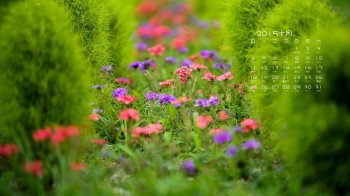 小清新绿色护眼2015年10月日历电脑壁纸1下载