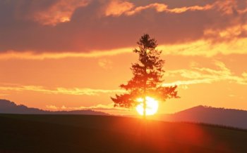 大自然风光黄昏景象桌面壁纸