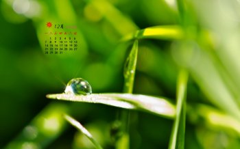 2015年12月日历小清新绿色桌面壁纸下载4