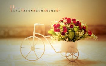 2014年11月日历壁纸小清新唯美意境治愈系静物高清