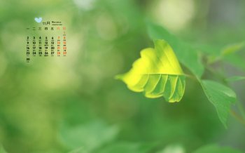 2015年11月日历绿色护眼桌面壁纸下载2