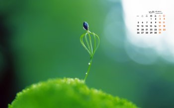 2015年10月日历绿色清新护眼桌面壁纸10下载