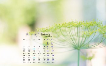 2016年1月日历简单桌面壁纸下载