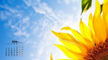 2016年1月日历清新太阳花桌面壁纸下载