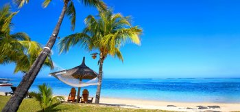 蓝色大海风景，天空，沙滩，棕榈树，海洋，夏天，风景桌面壁纸