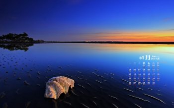 碧蓝唯美好看的壁纸海滩沙滩贝壳特写高清素材图片欣赏