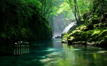 2015年12月日历清新绿色护眼桌面壁纸下载5