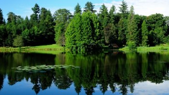 湖畔清新风景桌面壁纸