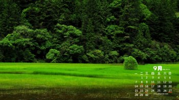 带日历的绿色壁纸高清桌面图片下载欣赏图