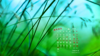 2016年2月日历壁纸高清绿色植物图片1
