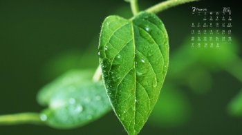 2017年3月绿色嫩芽水珠高清护眼电脑日历壁纸