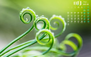 2015年8月日历绿色护眼植物电脑壁纸下载