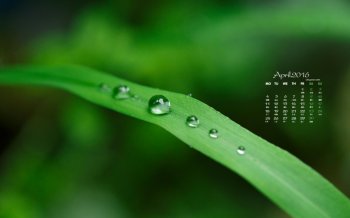 2016年4月日历清新水珠桌面壁纸图片下载