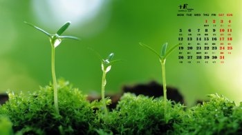 2015年10月日历新清护眼植物电脑桌面壁纸下载1