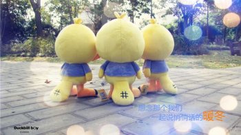 精选鸭嘴兽男孩公仔高清电脑壁纸