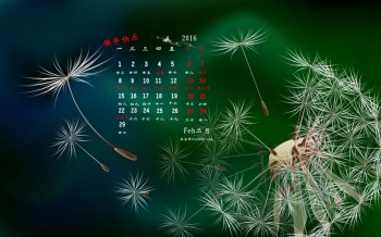 2016年2月日历唯美蒲公英高清壁纸