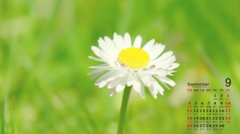 2016年9月日历绿色风景桌面壁纸