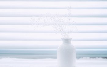 小清新植物高清图片桌面壁纸