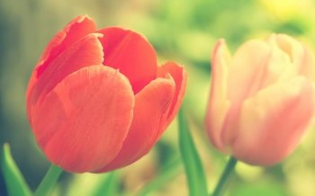 电脑宽屏高清风景壁纸